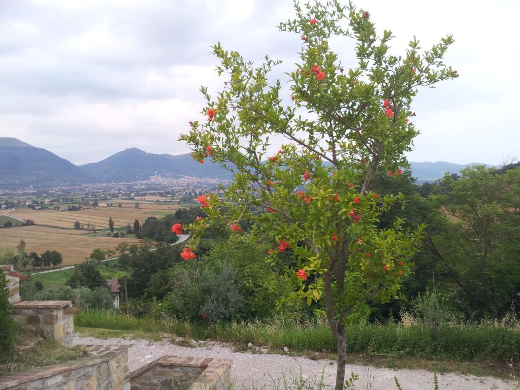 Fonte Chiara Villa Gubbio Room photo